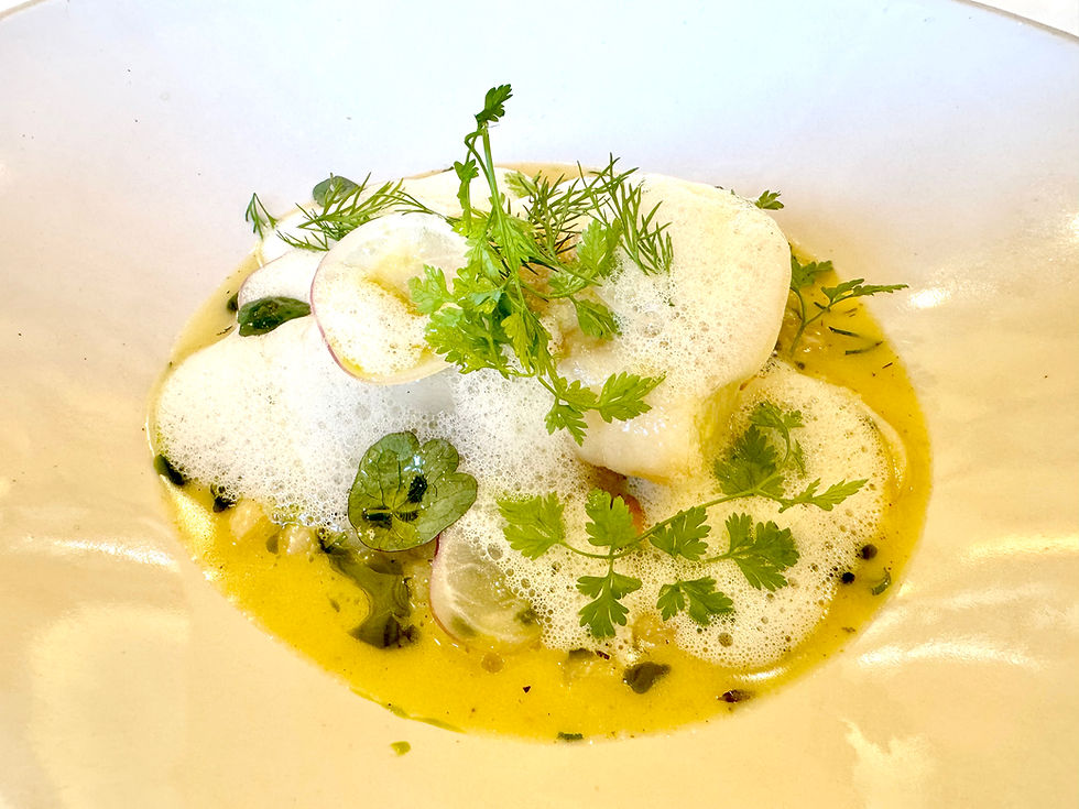 Steamed Day Boat Pollock, Mussels, Coco Beans, Turnip & Estate Lovage at Chalk restaurant at Wiston Estate
