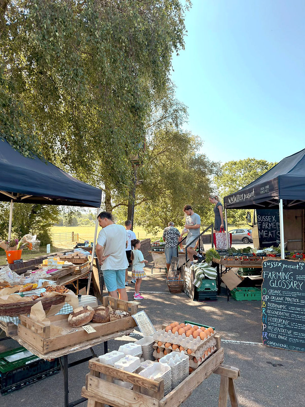 ‘The Big Autumn Harvest’ with Ed Johnstone from The Sussex Peasant