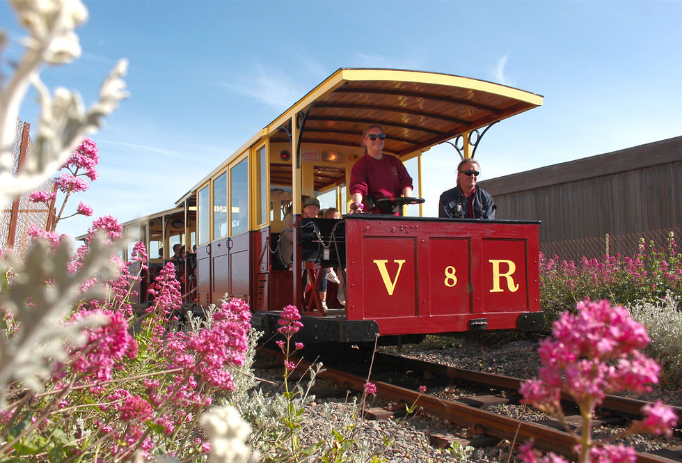 See more, pay less at Brighton attractions in summer 2026