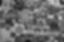 MesseNoire-3912_websize.jpeg