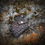 Thumbnail: Ring Cleaver/Buckeye Burl