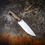 Thumbnail: Grail Woodsman