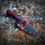 Thumbnail: Modified Jackknife/ Black Ash