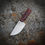 Thumbnail: Grail Rocked Nomad/Ember Red Burl