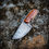 Thumbnail: Grail Harpoon