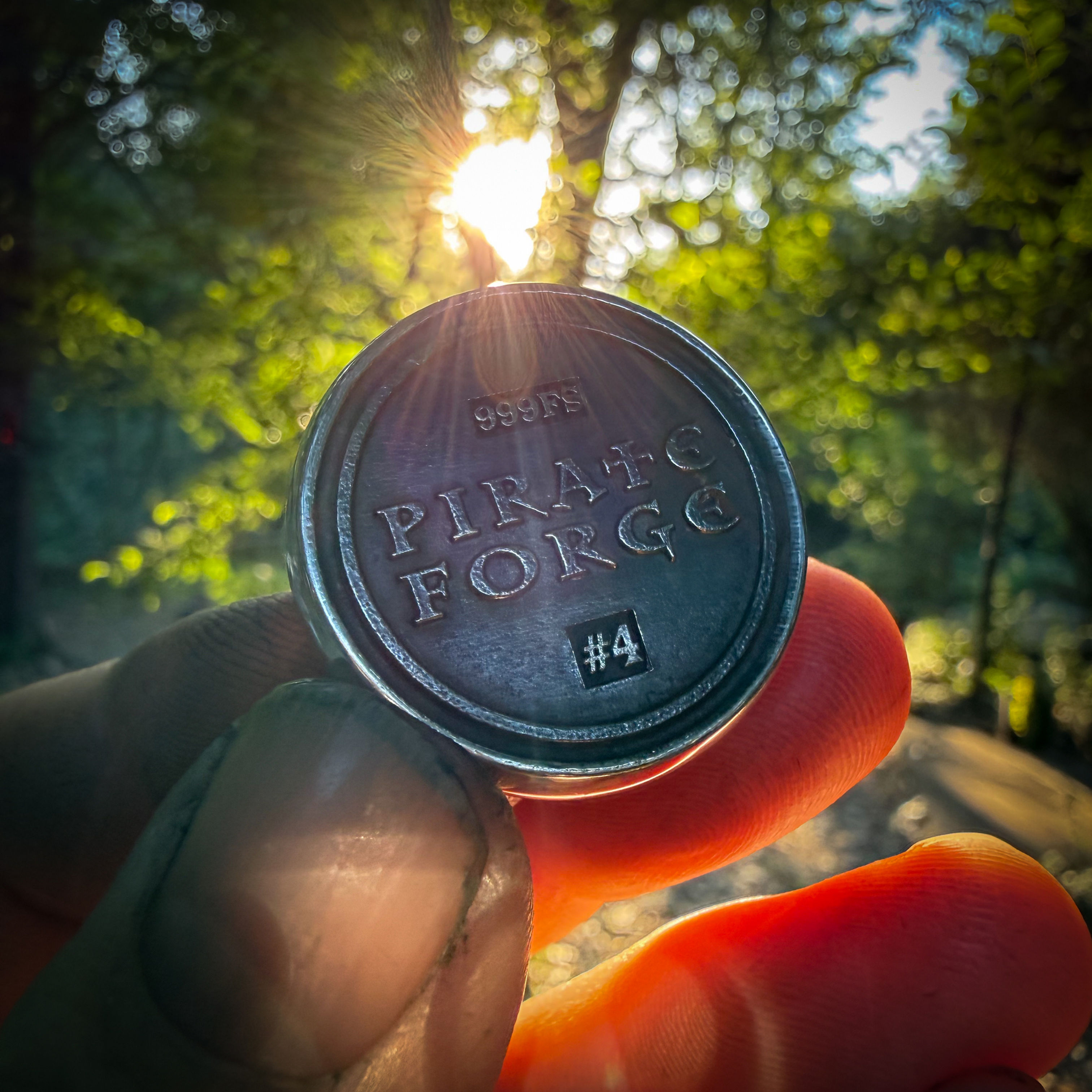 Forged Silver SeaTurtle Coin #4