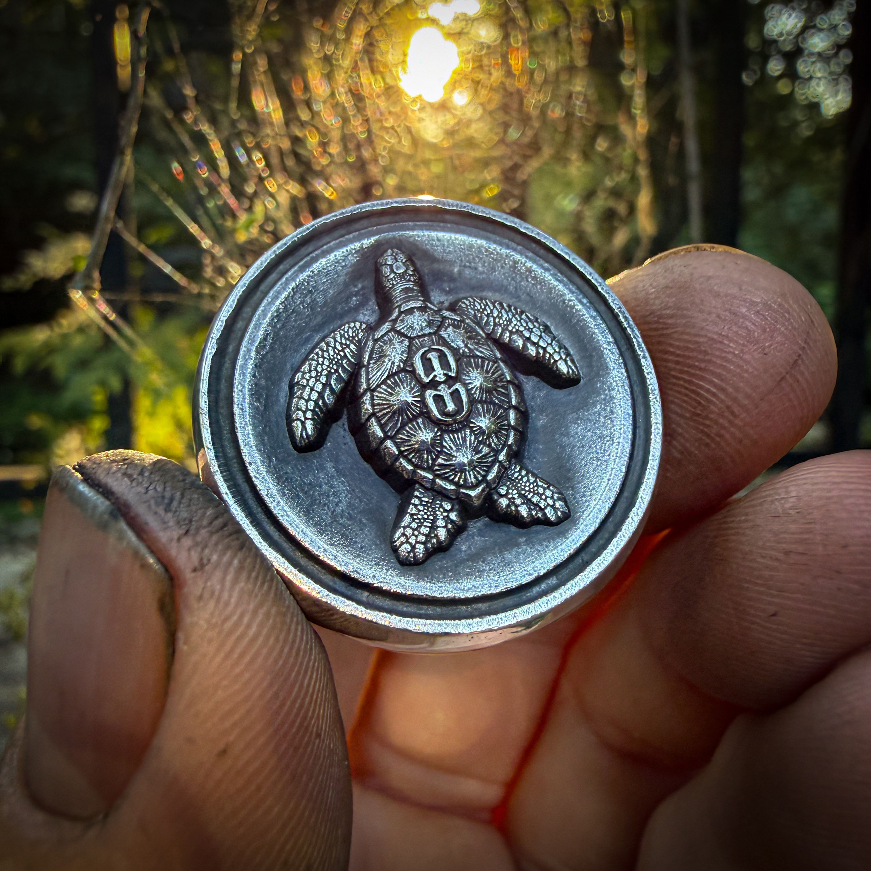 Forged Silver SeaTurtle Coin #6