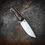 Thumbnail: The "BRUTE"/ Dark Oak