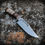 Thumbnail: Sandbar Bowie