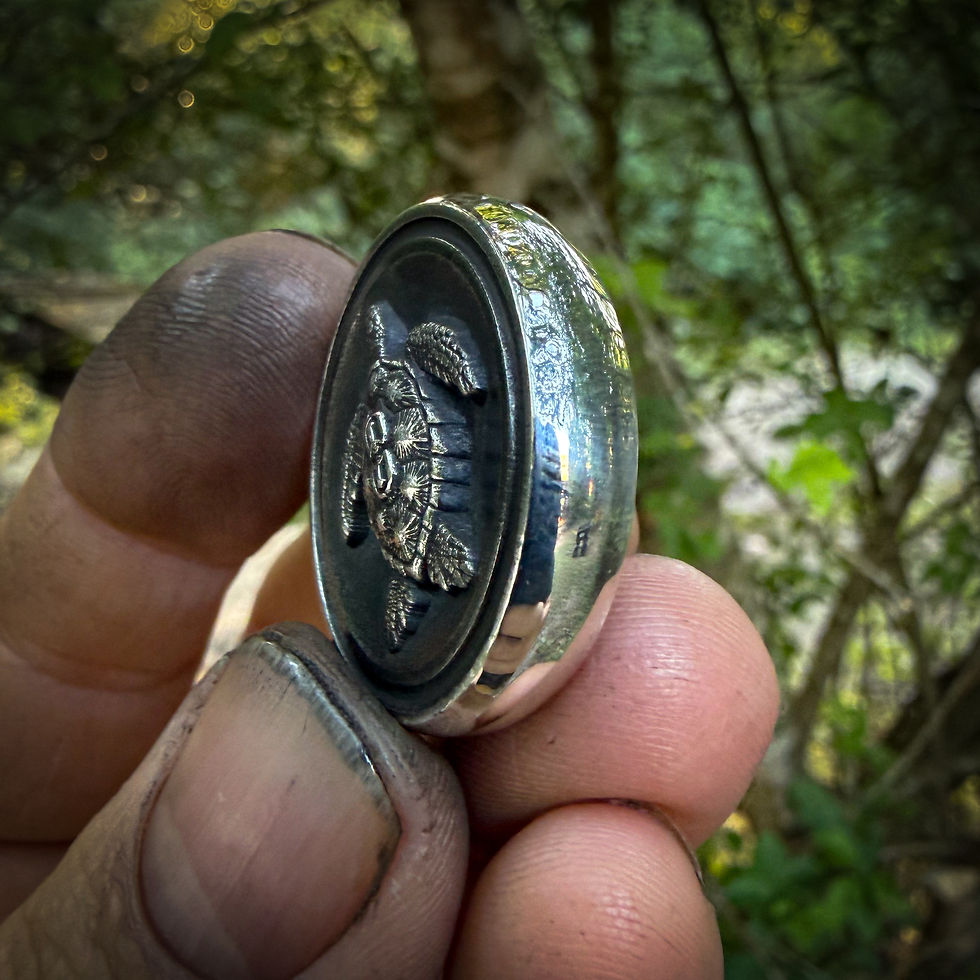 Thumbnail: Forged Silver SeaTurtle Coin #3