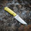Thumbnail: Frog and snake /G10 yellow