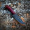 Thumbnail: Modified Jackknife/ Black Ash