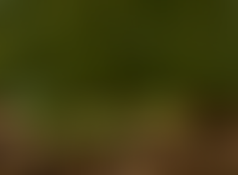 Crédito Rural e PSA: CPR verde como ferramenta de estímulo a pagamentos por serviços ecossistêmicos