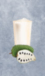 SOURSOP JUICE