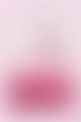 Love Unwritten by Lauren Asher