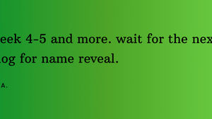 Week 4,5 and rn: Post-Exam Refocus & Brand Vision