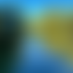 Rencontre livres le samedi 29 juin 2024