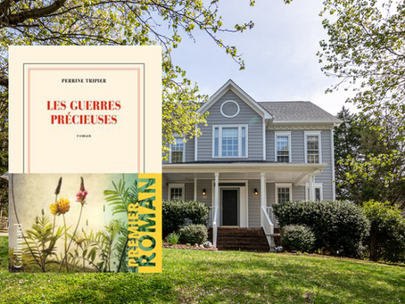 Les guerres précieuses