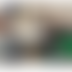 La rencontre D.E.litt du 28 janvier, des livres comme s'il en pleuvait !