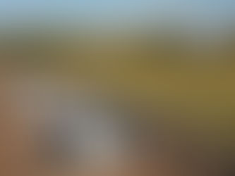 Nos estamos preparando para la vendimia 2022.