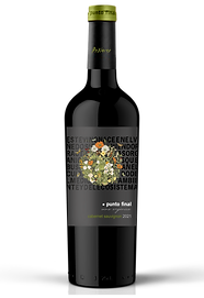 PFO Cabernet Sauvignon copia (1).png