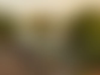 Bodas de Destino en renacer