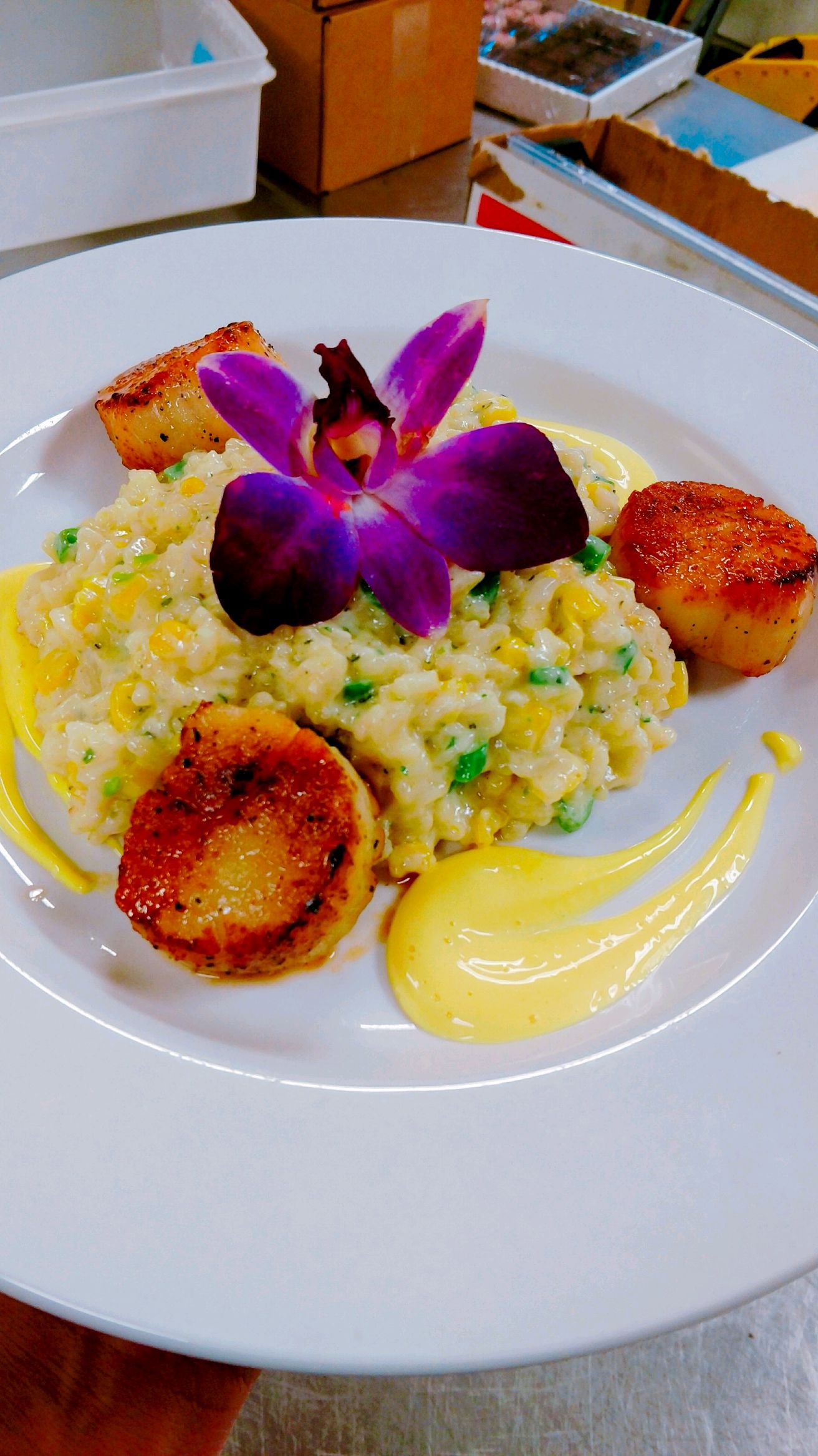 Element41 Chef Paul Mendolera Has Been In The Restaurant Business For 28 Years We Welcome You To His First Solo Venture Element 41 A Memorable Dining