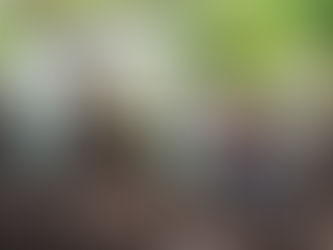 Trust Registration Service – Registration deadlines