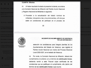 TEV DETERMINA QUE EL PAN DEBE DEJAR QUE NUEVOS MILITANTES PUEDAN VOTAR PARA ELEGIR A SUS CANDIDATOS