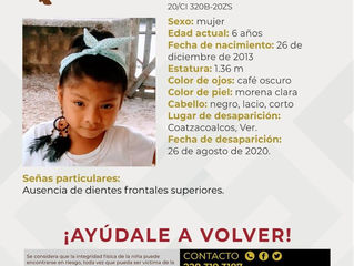 SE BUSCA A LA MENOR ANA BRIGITTE XOLOT OSORIO