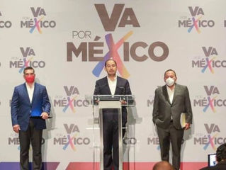 VA X MÉXICO PIDE ANULAR ELECCIONES EN 4 ESTADOS
