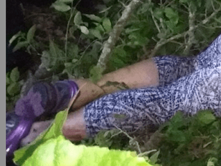 CONTINÚA VERACRUZ EN SEGUNDO LUGAR NACIONAL POR ASESINATOS DE MUJERES CON VIOLENCIA Y SÉPTIMO EN VIO
