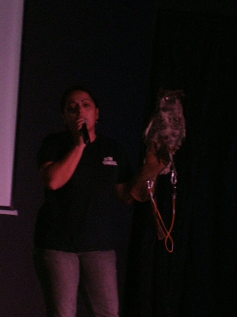 La présentation de rapaces