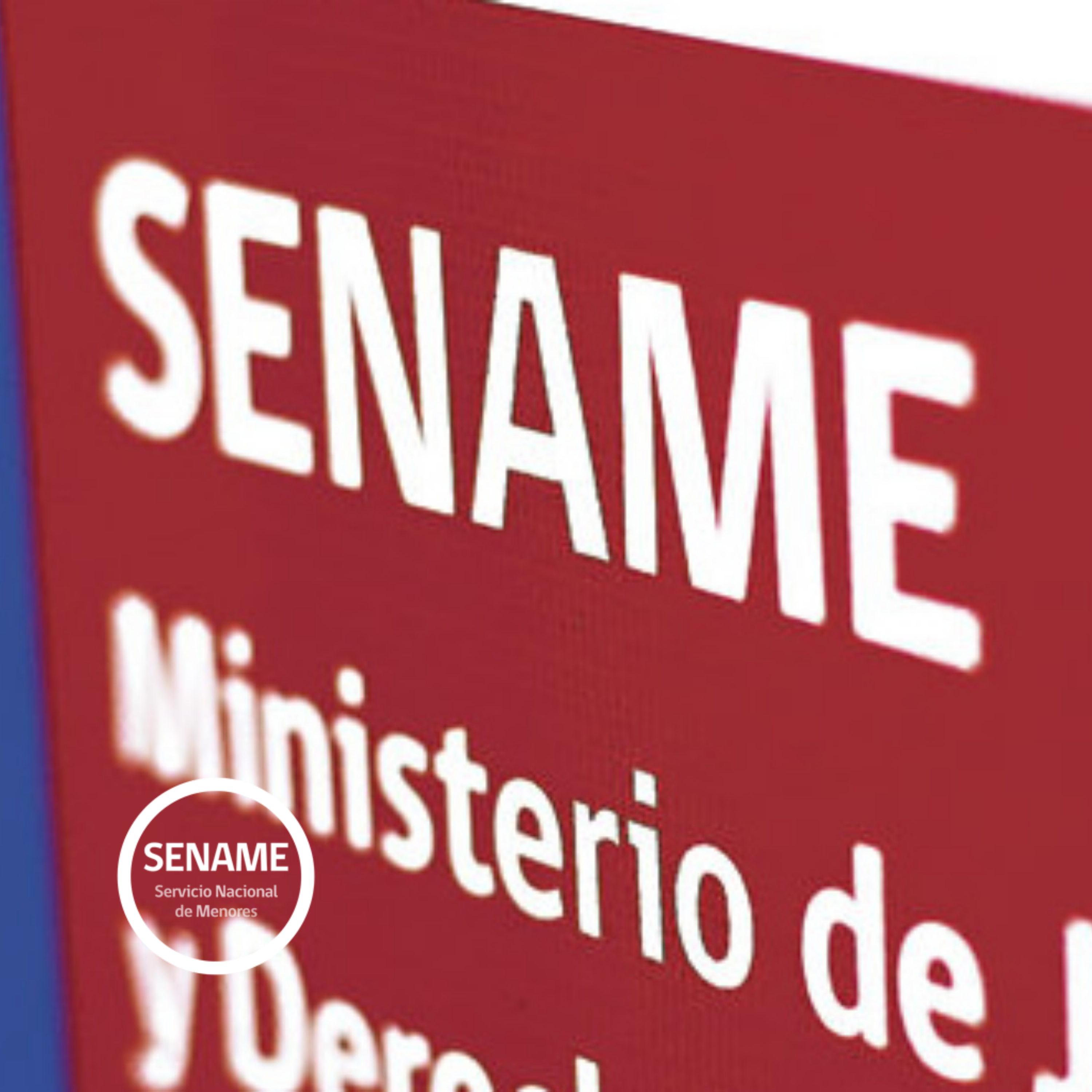 Optimización de reportes y datos | 2020