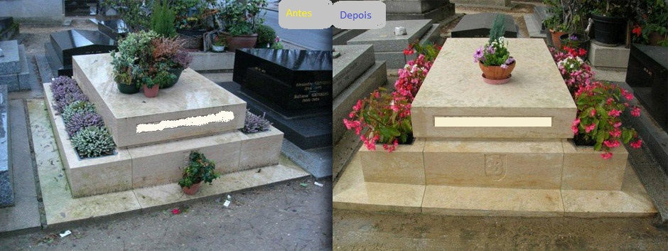 Serviço de Limpeza Profissional