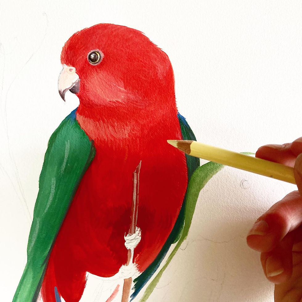 Thumbnail: King Parrots Art Print