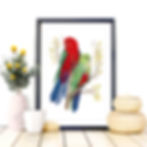 Thumbnail: King Parrots Art Print