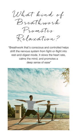 Active Lifestyle and Wellness