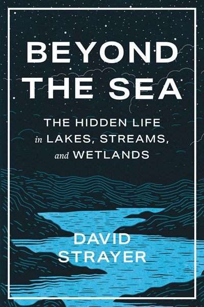 Beyond the Sea: The Hidden Life in Lakes, Streams,