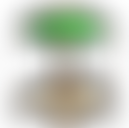 Whats up at the Spot?