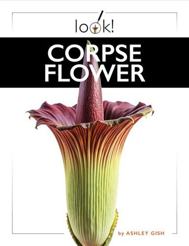 その他 Draculazer KarehaKaijin&Corpse Flower Corpse Flower | The Thinking Spot