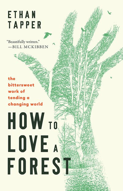 How to Love a Forest: The Bittersweet Work of Tend