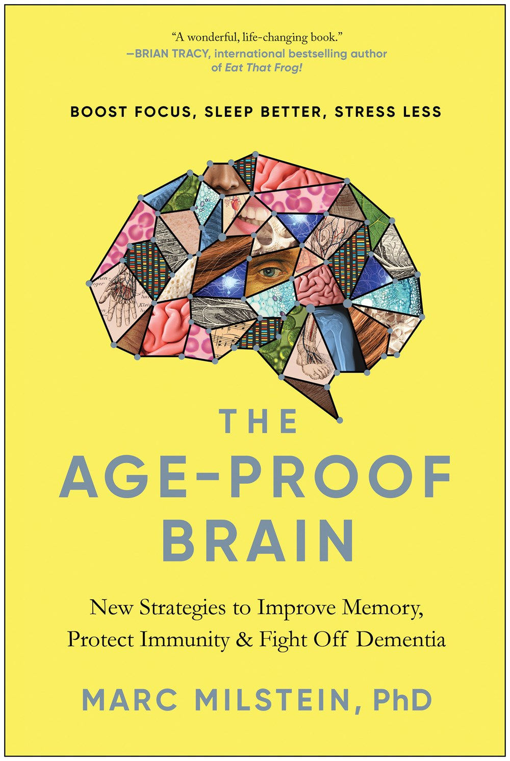 The Age-Proof Brain: New Strategies to Improve Mem