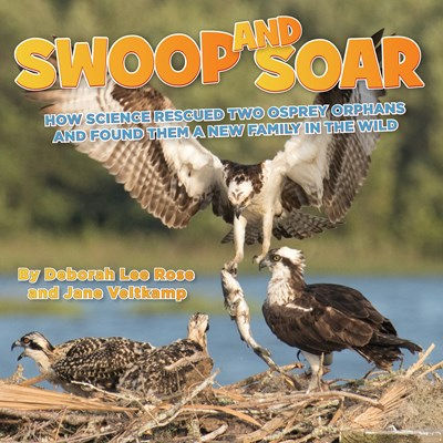 Swoop and Soar: How Science Rescued Two Osprey Orp
