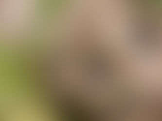 Science News of the Week