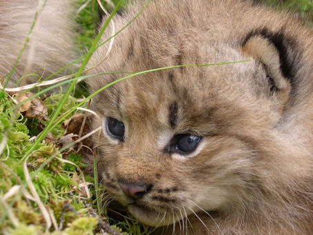 Science News of the Week