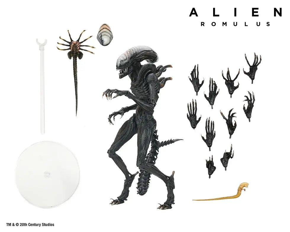 Alien : Romulus - Ultimate Scorched Xenomorph 7" Scale Action Figure