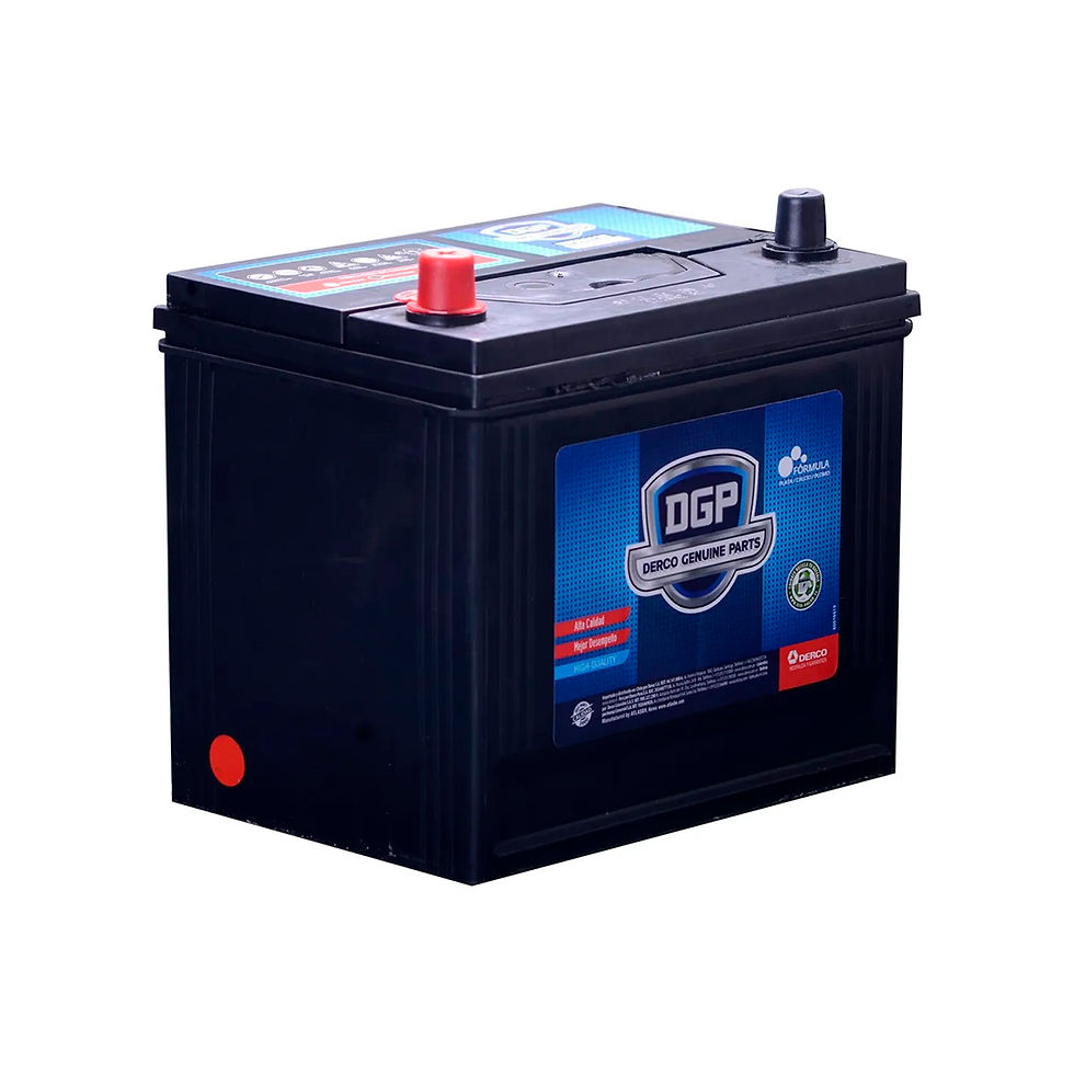 BATERÍA DGP MF55D23R