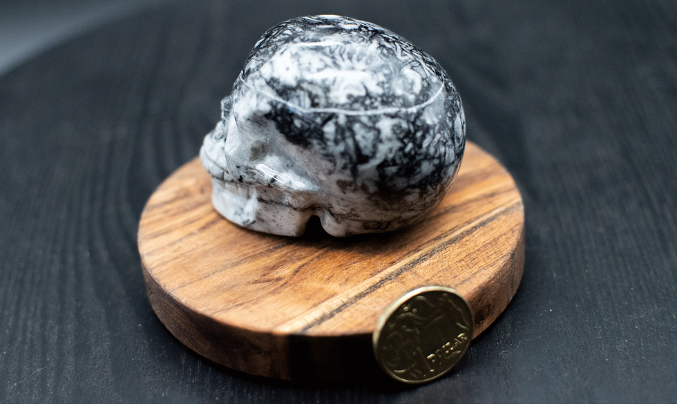 Thumbnail: Fossil Marble Skull