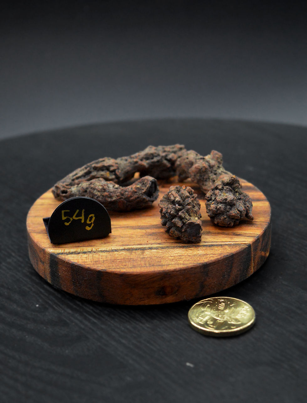 Thumbnail: Coprolite (DINO POOP)